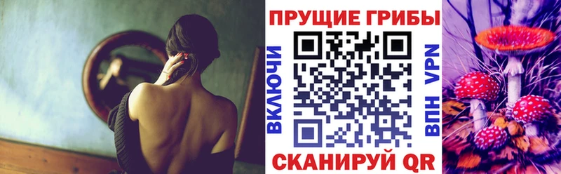 Псилоцибиновые грибы Psilocybine cubensis  дарк нет какой сайт  Зима 